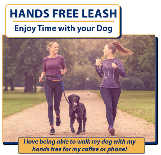 Hands Free Dog Leash for 2 Dogs - includes pouches for anything you need