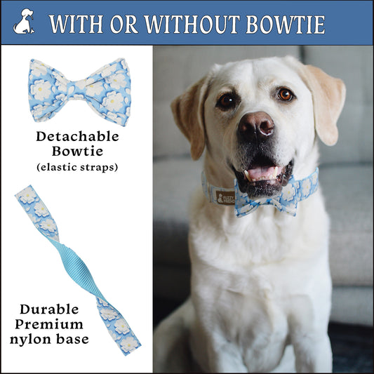 Blue Flower Dog Bow Tie Collar and Leash Set