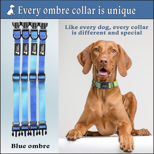 Blue Sea Ombre Dog Collar - Fuzzy Friends Boutique