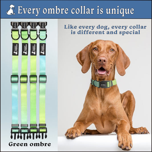Cool Green Ombre Dog Collar - Fuzzy Friends Boutique