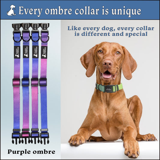 Purple Mood Ombre Dog Collar - Fuzzy Friends Boutique