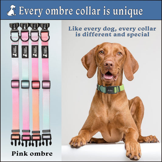 Summer Pink Ombre Collar and Leash Set - Fuzzy Friends Boutique